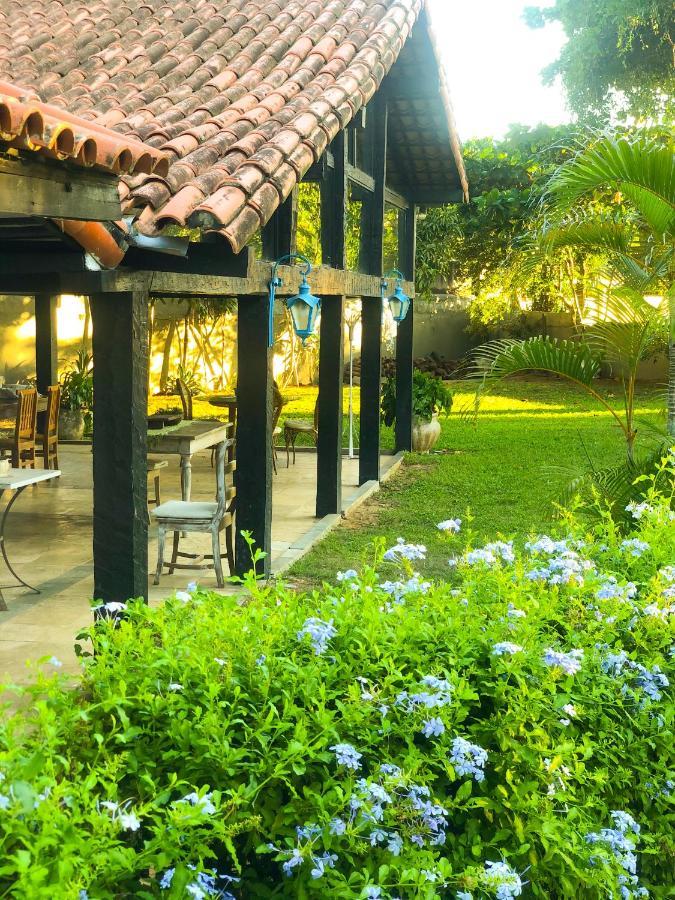 Bed and breakfast Peixe Crew Manguinhos *